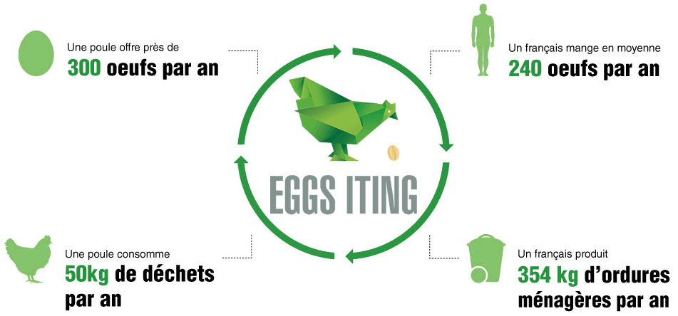 Cercle vertueux eggs iting