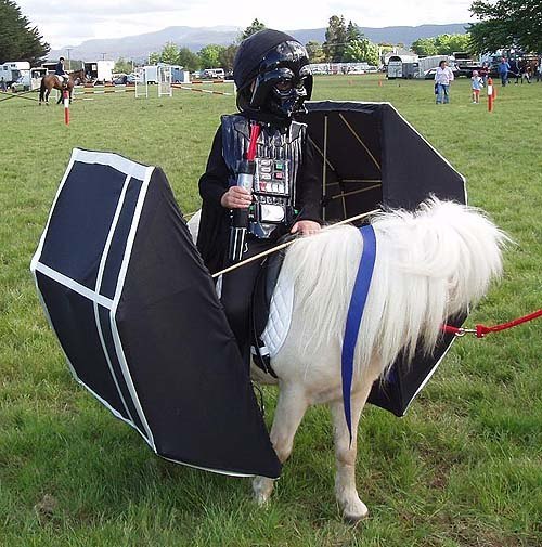 Darth vader horse