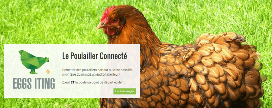 Eggs iting : le poulailler connecté amiénois