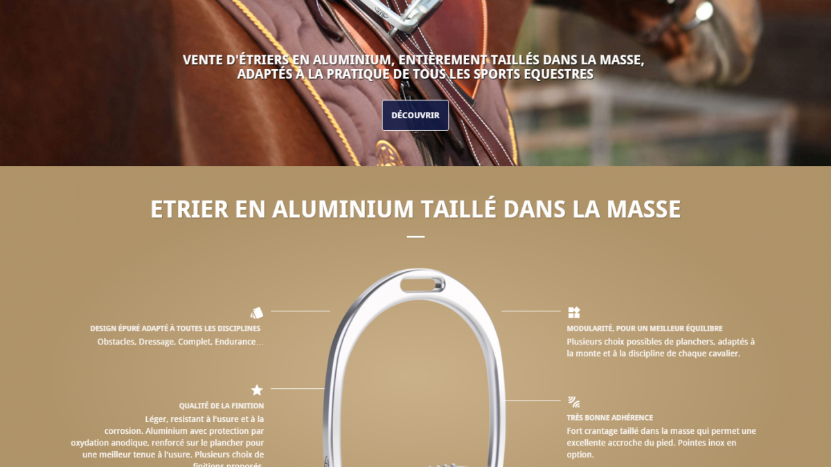 Design site e-commerce Alfa Jump