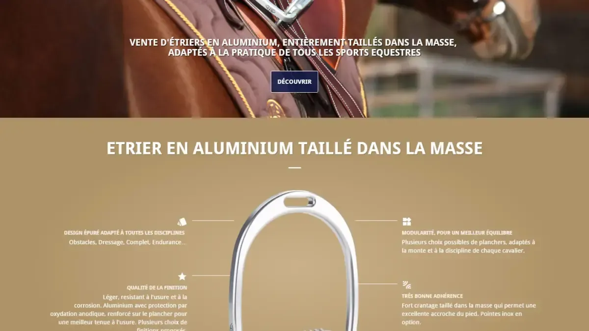 Design du site e-commerce Alfa Jump
