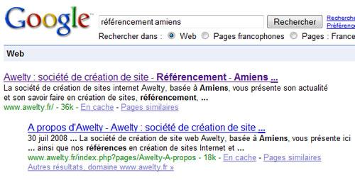 Referencement amiens