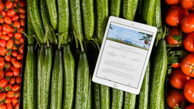 Création du site Internet du projet zéro-phyto Interreg